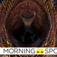 Image for article titled Wait, Guardians of the Galaxy Vol. 2 Has How Many Post-Credit Scenes?!